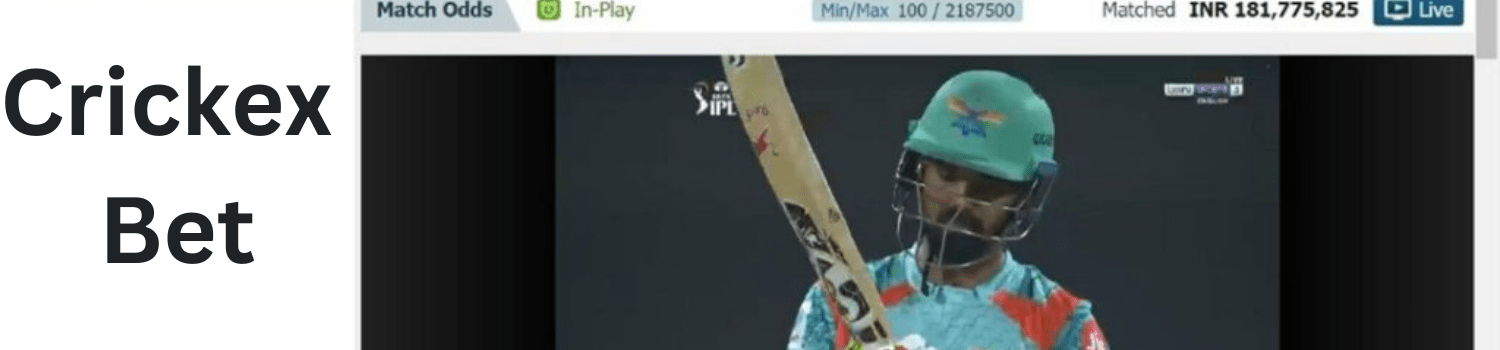 Play Crickex Bet Games Games